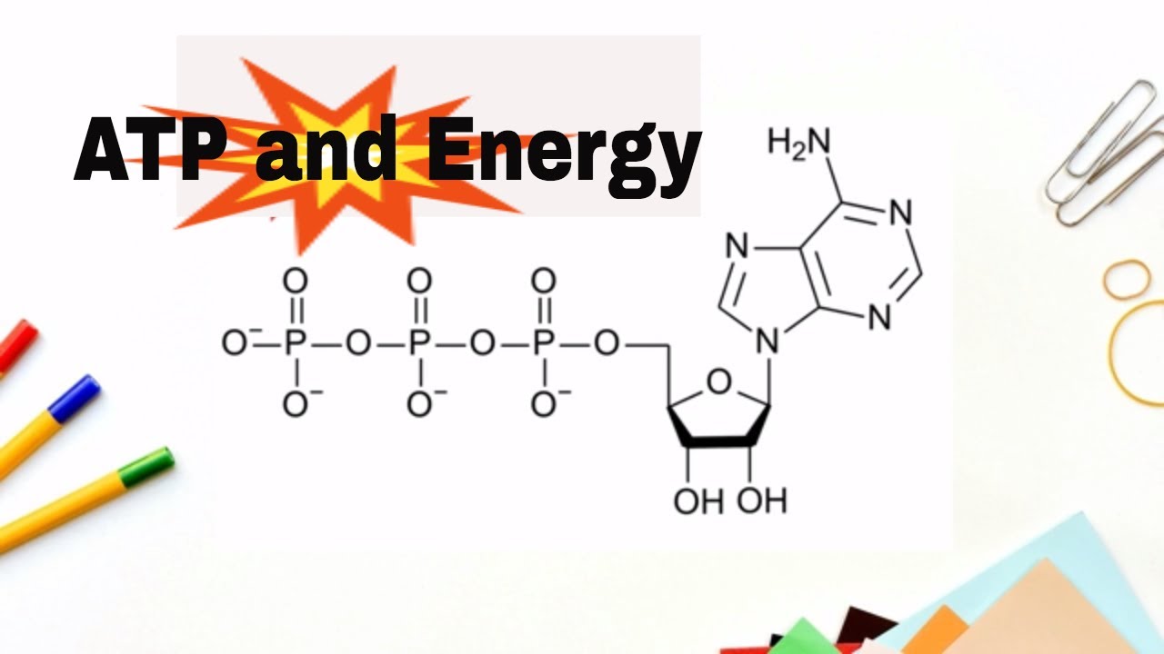 Elevating Athletic Performance with ATP and Hyperbaric Oxygen Therapy
